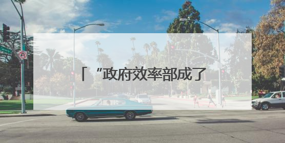 “政府效率部成了替罪羊” 马斯克：工作重点从裁员转向政府电脑系统