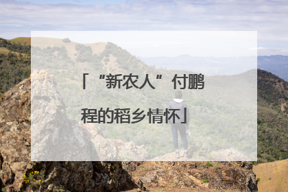 “新农人”付鹏程的稻乡情怀