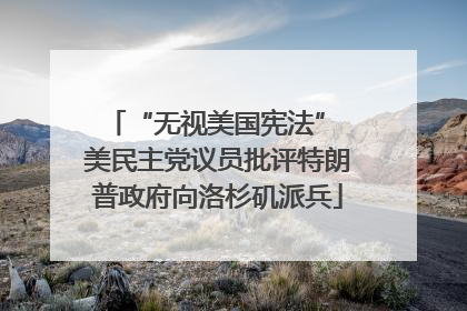 “无视美国宪法” 美民主党议员批评特朗普政府向洛杉矶派兵