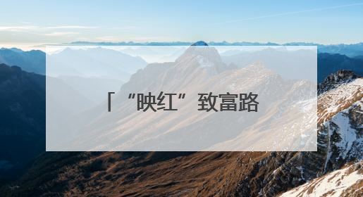“映红”致富路 湖北广水胭脂红鲜桃火“出圈”