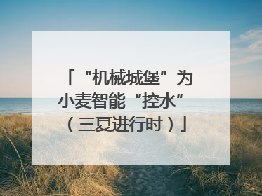 “机械城堡”为小麦智能“控水”（三夏进行时）