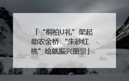“桐柏U礼”架起助农金桥 “朱砂红桃”绘就振兴图景