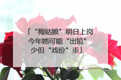 “梅姑娘”明日上岗 今年她可能“出镜”少但“戏份”重