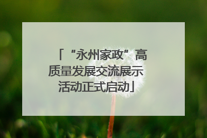 “永州家政”高质量发展交流展示活动正式启动