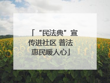 “民法典”宣传进社区 普法惠民暖人心