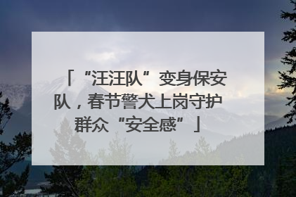 “汪汪队”变身保安队，春节警犬上岗守护群众“安全感”