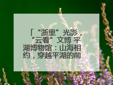 “浙里”光影，“云看”文博 平湖博物馆：山海相约，穿越平湖的前世今生