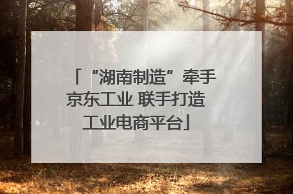 “湖南制造”牵手京东工业 联手打造工业电商平台