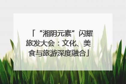 “湘阴元素”闪耀旅发大会：文化、美食与旅游深度融合