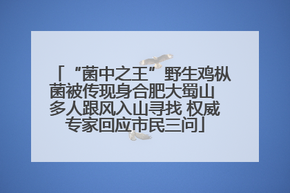 “菌中之王”野生鸡枞菌被传现身合肥大蜀山 多人跟风入山寻找 权威专家回应市民三问