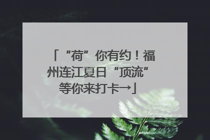 “荷”你有约！福州连江夏日“顶流”等你来打卡→
