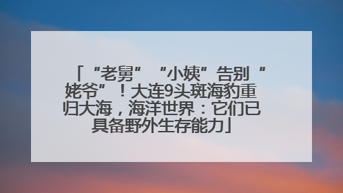 “老舅”“小姨”告别“姥爷”！大连9头斑海豹重归大海，海洋世界：它们已具备野外生存能力