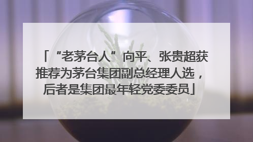 “老茅台人”向平、张贵超获推荐为茅台集团副总经理人选，后者是集团最年轻党委委员