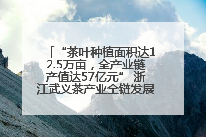 “茶叶种植面积达12.5万亩，全产业链产值达57亿元” 浙江武义茶产业全链发展“加速度”