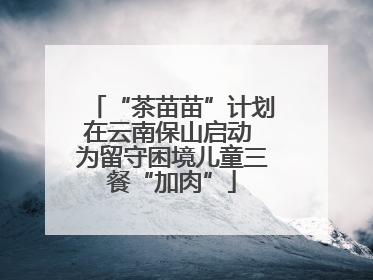 “茶苗苗”计划在云南保山启动 为留守困境儿童三餐“加肉”