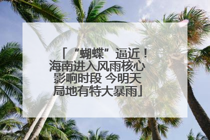 “蝴蝶”逼近！海南进入风雨核心影响时段 今明天局地有特大暴雨