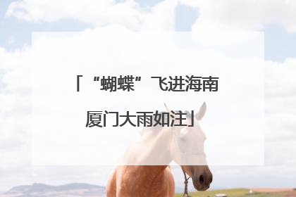 “蝴蝶”飞进海南 厦门大雨如注