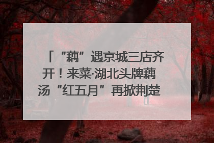 “藕”遇京城三店齐开！来菜·湖北头牌藕汤“红五月”再掀荆楚美食文化风暴