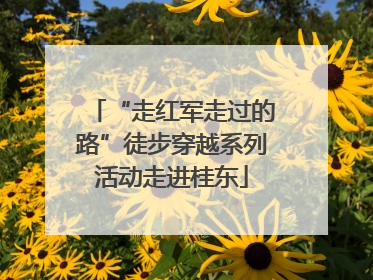 “走红军走过的路”徒步穿越系列活动走进桂东