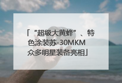 “超级大黄蜂”、特色涂装苏-30MKM 众多明星装备亮相