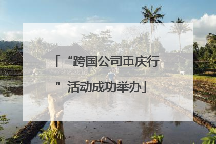“跨国公司重庆行”活动成功举办