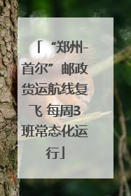 “郑州-首尔”邮政货运航线复飞 每周3班常态化运行