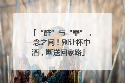 “醉”与“罪”，一念之间！别让杯中酒，断送回家路