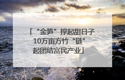 “金笋”撑起甜日子 10万亩方竹“链”起团结富民产业