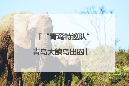 “青鸾特巡队”青岛大鲍岛出圈