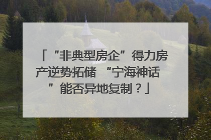 “非典型房企”得力房产逆势拓储 “宁海神话”能否异地复制？