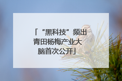 “黑科技”频出 青田杨梅产业大脑首次公开
