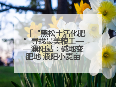 “黑松土活化肥”寻找最美粮王——濮阳站：碱地变肥地 濮阳小麦亩产1500多斤