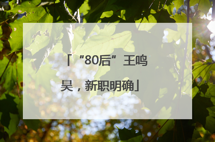 “80后”王鸣昊，新职明确