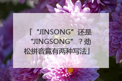 “JINSONG”还是“JINGSONG”？劲松拼音竟有两种写法