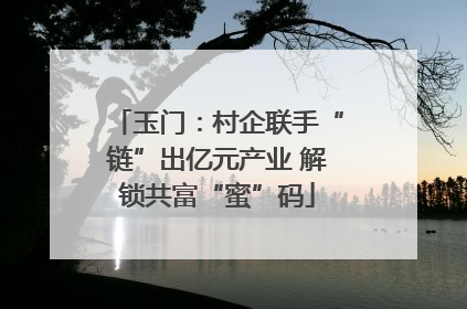 玉门：村企联手“链”出亿元产业 解锁共富“蜜”码