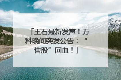 王石最新发声！万科晚间突发公告：“售股”回血！