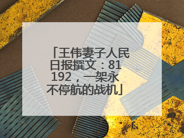 王伟妻子人民日报撰文：81192，一架永不停航的战机