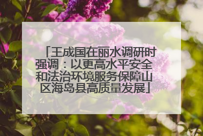 王成国在丽水调研时强调：以更高水平安全和法治环境服务保障山区海岛县高质量发展