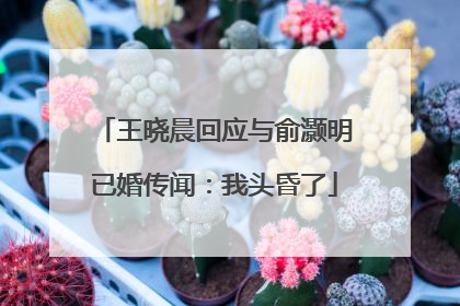 王晓晨回应与俞灏明已婚传闻：我头昏了