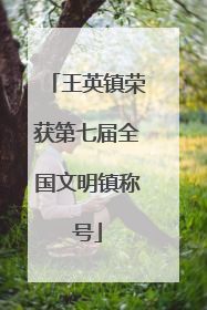 王英镇荣获第七届全国文明镇称号