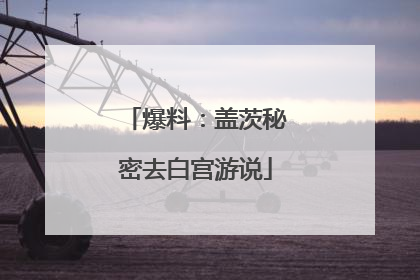 爆料：盖茨秘密去白宫游说