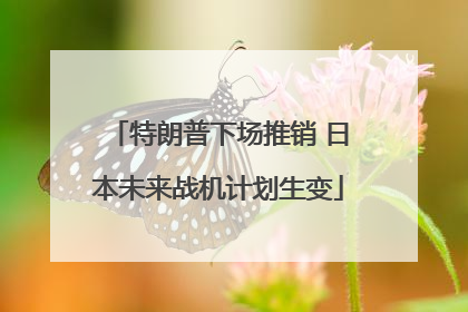 特朗普下场推销 日本未来战机计划生变