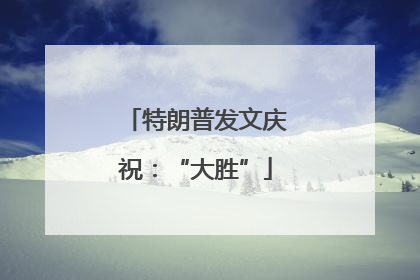 特朗普发文庆祝：“大胜”