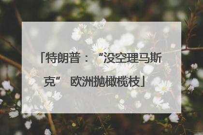 特朗普：“没空理马斯克” 欧洲抛橄榄枝