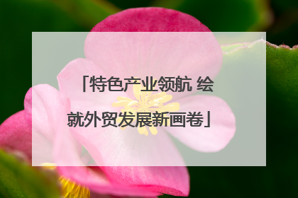 特色产业领航 绘就外贸发展新画卷