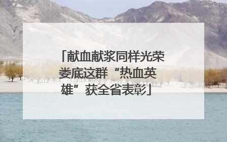 献血献浆同样光荣 娄底这群“热血英雄”获全省表彰