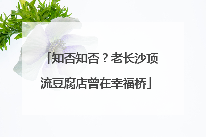 知否知否？老长沙顶流豆腐店曾在幸福桥