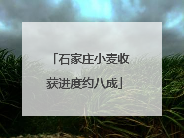 石家庄小麦收获进度约八成