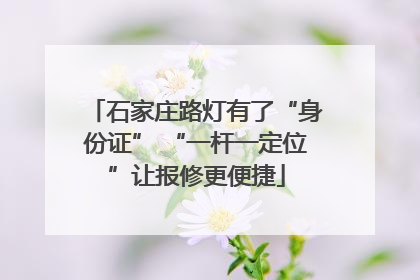 石家庄路灯有了“身份证” “一杆一定位”让报修更便捷
