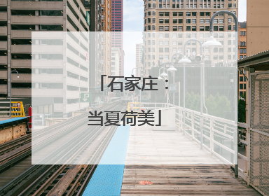 石家庄：当夏荷美